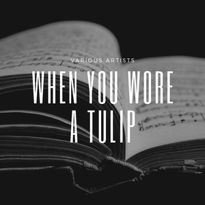 I Want To Walk You Home