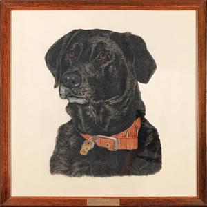 Buy One Get One Free