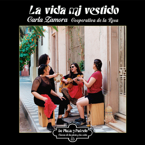 La vida mi vestido