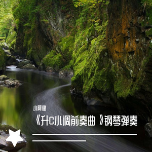 《升C小调前奏曲》钢琴弹奏，全曲笼罩沉重悲凉的气氛