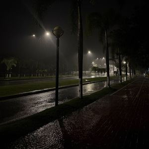 悲观的世界不会再有乐观的人