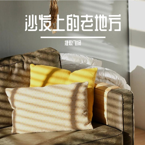 沙发上的老地方