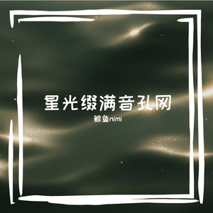 星光缀满音孔网
