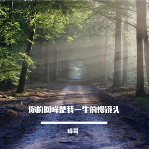 你的回眸是我一生的慢镜头