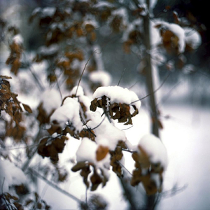 This Christmas (Studio Version)