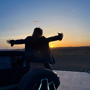 邵帅 - 南风北巷（DJ抖音热播版）mp3