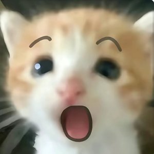 时光的那个午后