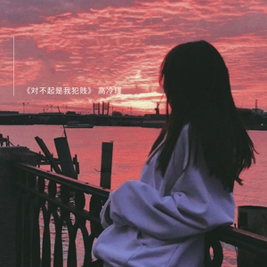 对不起是我犯贱 (伴奏)