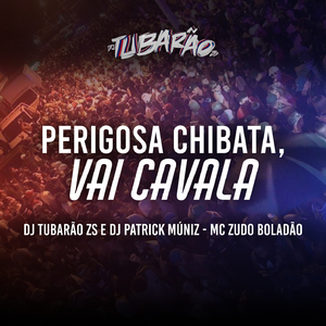 PERIGOSA CHIBATA, VAI CAVALA