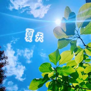 夏天