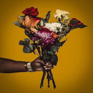 Don't Quit Your Day Job