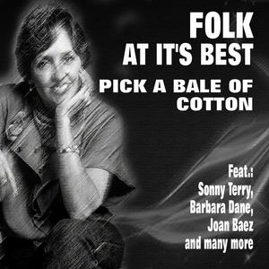 Cotton Fields At Home