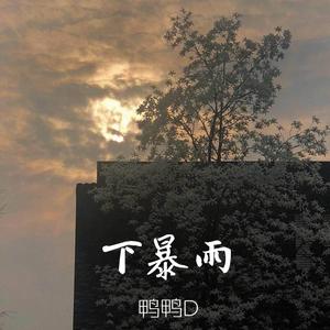 下暴雨