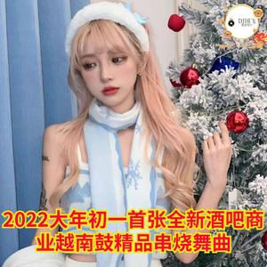 DJ国飞-2022大年初一首张全新酒吧商业越南鼓精品串烧舞曲（DJ国飞 remix）