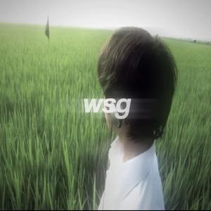 wsg