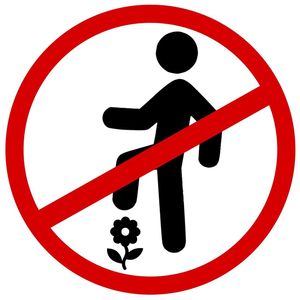 потеря потерь