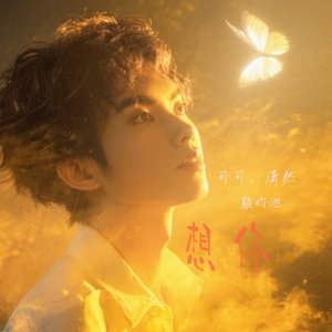 想你（为你着迷）