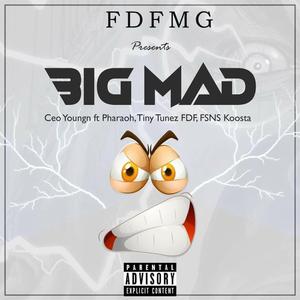 BIG MAD (feat. Pharaoh Hari, Tiny Tunez & FSNS Koosta)