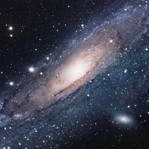 人生的旋转木马