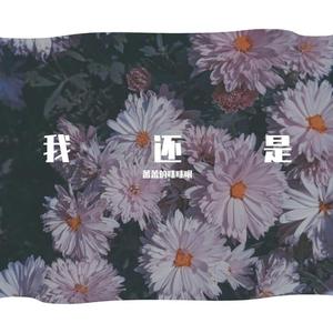 我还是（完整版）（翻自 LoKk6）