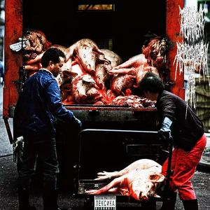 这里是动物园!!!