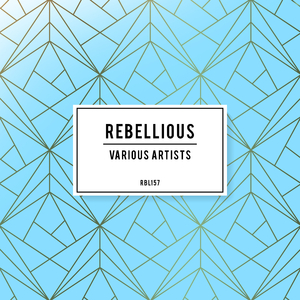 High Enough (Marti & Brudo Remix)