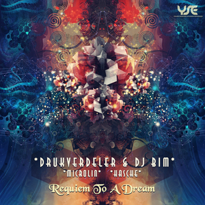 Requiem to a Dream (Largo Version)