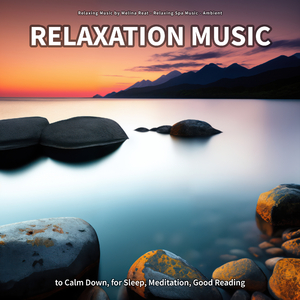 Calming Music for Cats