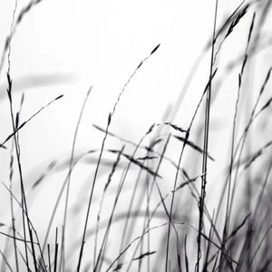 不再让你孤单（女声原版翻唱）