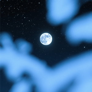 MIDNIGHT PANDA AM 02.00