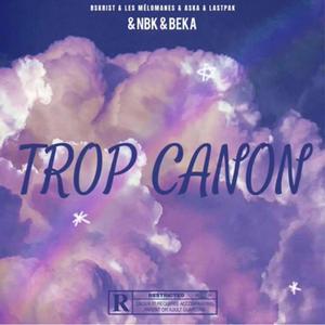 Trop Canon (feat. RSKRIST, Les mélomanes, Aska, Lastpak & BEKA) (NBK Remix)