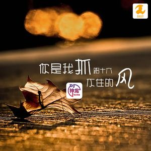 你是我抓不住的风 (DJ神龙版)