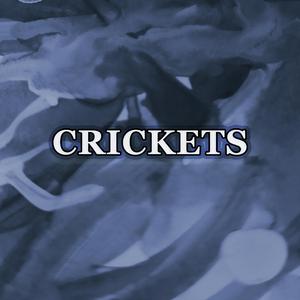 Crickets (Original Mix)