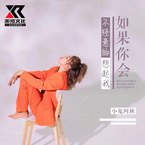 如果你会不经意的想起我 (DJ版)