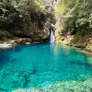 森の妖精からの贈り物