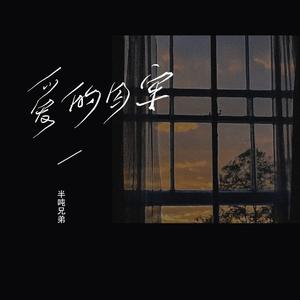 爱的囚牢 (DJ R7版)