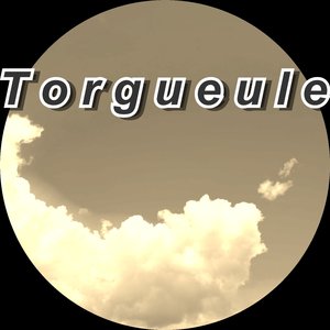 Torgueule