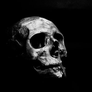 The Cybernetic Samurai Way