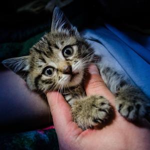 【FREE】渐渐疏远