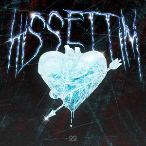 Hissettim