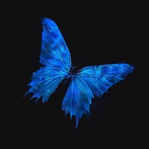 Winter 2020（翻自 万花筒Artascope）