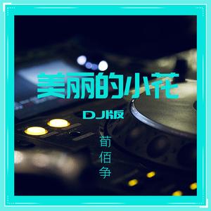 美丽的小花 (DJ版)