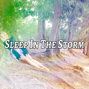 A Passing Waterfall with Thunder