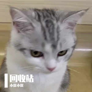 你走（片段）
