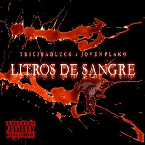 Litros de Sangre