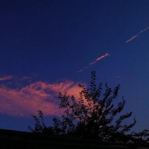 0807～（翻自 Bomb比尔）