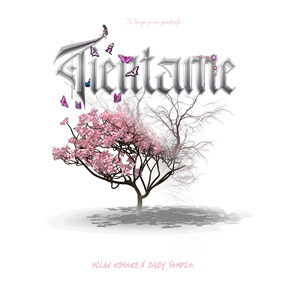 Tientame (Extended Version)