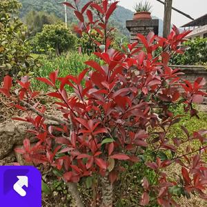 都市追梦人的奋斗之旅 (现场)