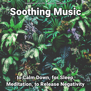 Soothing Music, Pt. 19