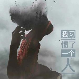 我习惯了一个人（翻自 海伦）